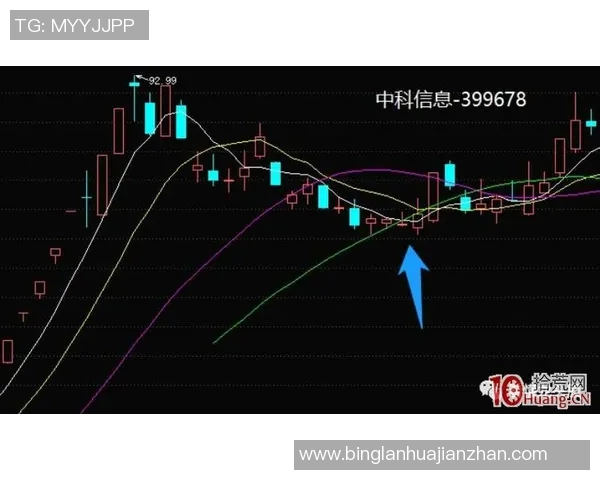 武汉排球队速度分析与战术创新的深度探讨与展望 武汉排球队速度分析与战术创新的深度探讨与展望