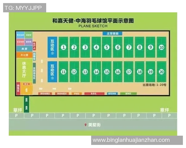 成都羽毛球队意识对比深度解析与发展趋势探讨